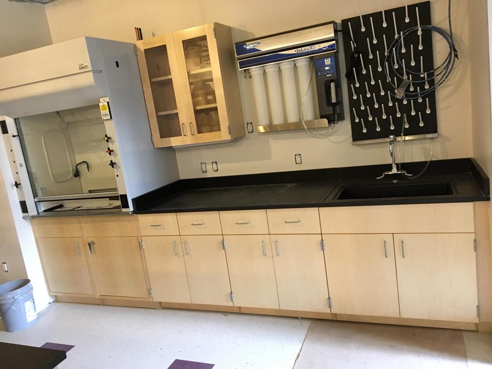 Laboratory casework with epoxy tops and a pegboard drying station